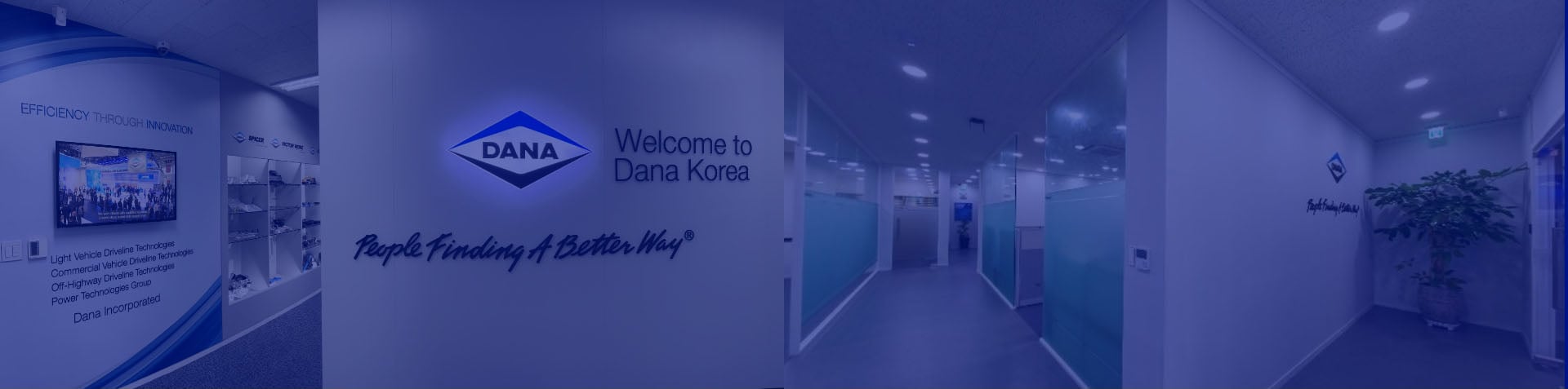 dana korea