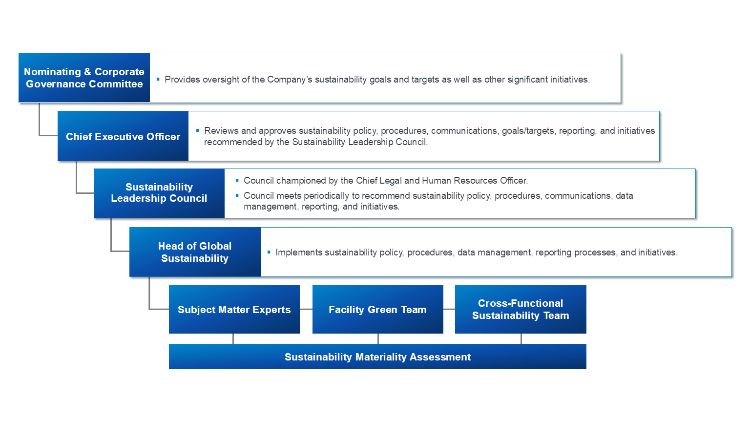 Dana's sustainability governance structure